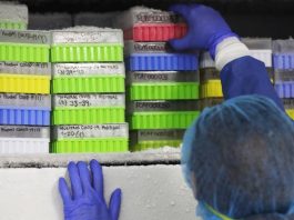 Colombia suma 11.578 casos nuevos de COVID-19 y llega a 456.689 contagiados