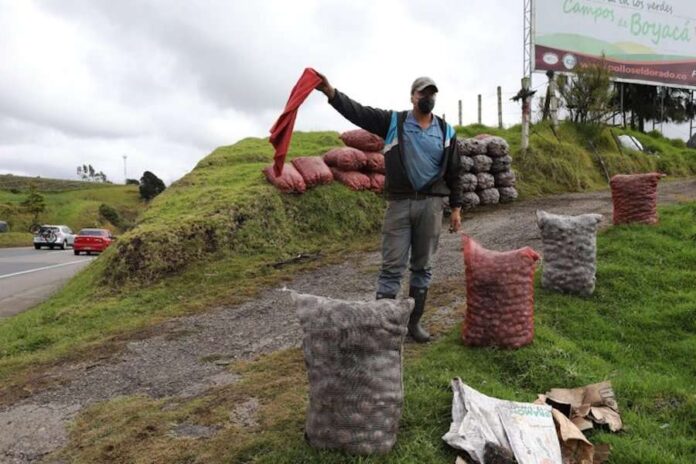 Ventas de carretera, la cara de la crisis de cultivadores de papa en Colombia