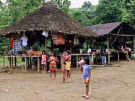 Grupos armados desplazan de sus tierras a más de 900 indígenas colombianos