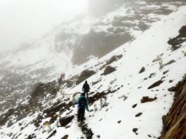 Una atípica nevada tiñe de blanco un parque natural del centro de Colombia