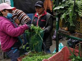 La inflación sigue agudizándose en Colombia y se sitúa en 8,53 % interanual - Comerciantes trabajan en la venta y distribución de alimentos en la plaza de mercado Corabastos