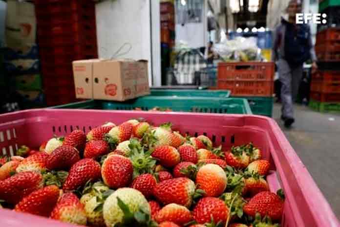 La inflación sigue agudizándose en Colombia y se sitúa en 8,53 % interanual - canasta de fresas a la venta en la plaza de mercado Corabastos