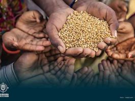 Procuraduría pide medidas urgentes para detener muertes por desnutrición en el país
